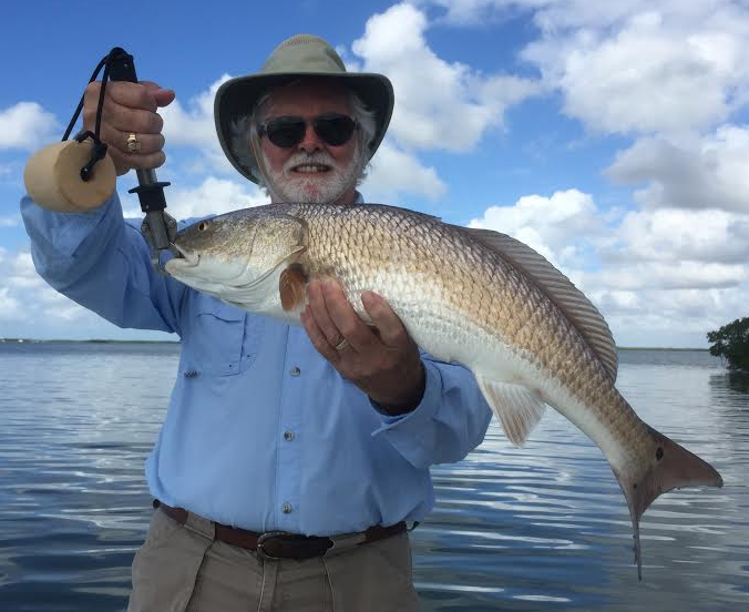 Estero Bay Fishing Report for December 10, 2014 Active
