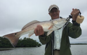 David's Redfish