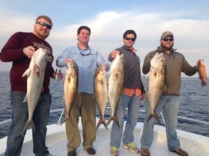 destin-fishing-report-feb-14-2015